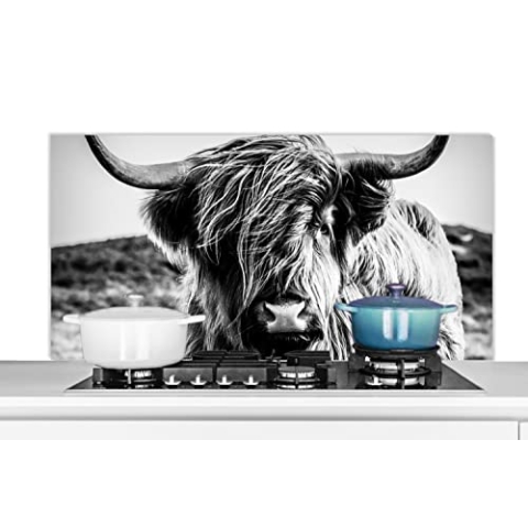 Spritzschutz Küche Küchenrückwand Alu Poster Bilder 120x60 cm Schottischer Highlander - Natur - Kuh - Schwarz - Weiß