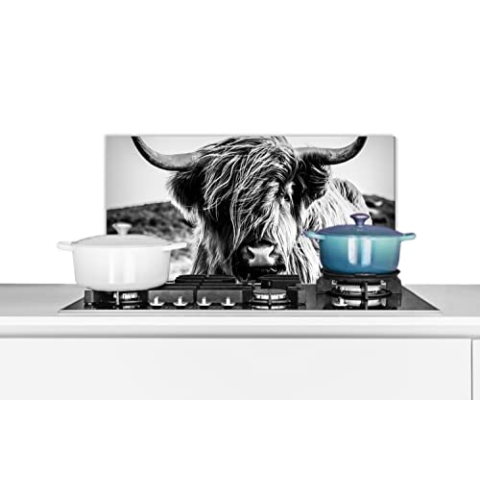 Spritzschutz Küche Küchenrückwand Alu Poster Bilder 60x30 cm Schottischer Highlander - Natur - Kuh - Schwarz - Weiß