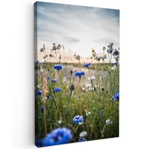 MuchoWow Leinwand Bilder, Einzigartige Wanddeko mit Rahmen, Blumen - Sommer - Kornblume - Blau - Sonne - Wolken, Wandbilder Wohnzimmer, Deko Schlafzimmer 60x90 cm