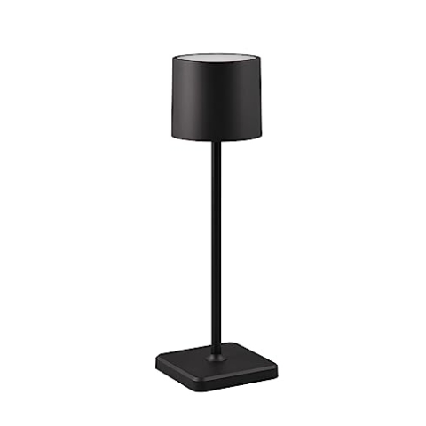 Reality Leuchten LED Akku Außen Tischleuchte Fernandez R54096132, 1.5 Watt LED, Ladestation
