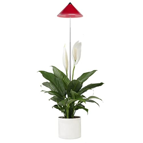 Parus by Venso SUNLiTE 7W LED Vollspektrum Pflanzenlampe Rot, Indoor Plants Pflanzen Beleuchtung, mit ausziehbarem Teleskopstab, Parus Pflanzenlampe für kleine und mittelgroße Zimmerpflanzen