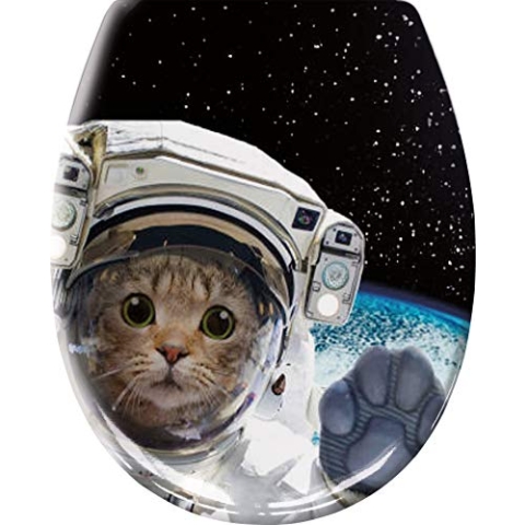 Cosmo Cat Multicolor