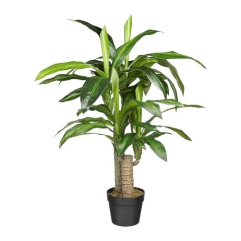 HTT Decorations - Künstlicher Drachenbaum (Dracaena Fragans) - Hochwertige Kunstpflanzen - 90cm hoch