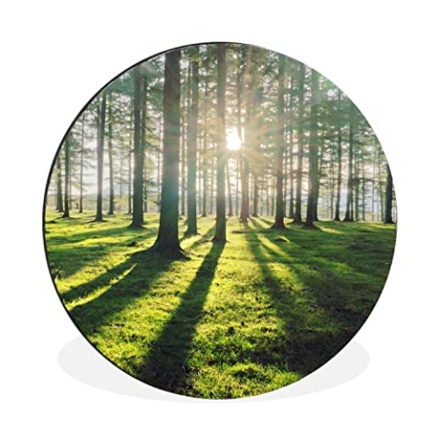 MuchoWow Wandbild Rund Wanddeko Deko Wohnzimmer Bilder 60x60 cm Bäume - Natur - Wald