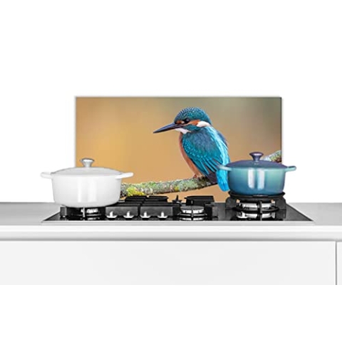 Spritzschutz Küche Küchenrückwand Alu Poster Bilder 70x30 cm Vogel - Eisvogel - Tiere - Zweig