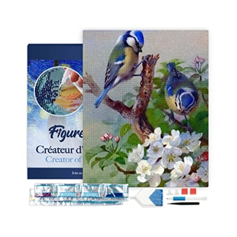 Figured'Art Diamond Painting Erwachsene 40x50cm Mit Rahmen Ganze Leinwand gespannt Blaumeise auf Ast 5D Bilder Eckige Steine - DIY Set Basteln