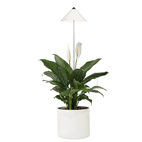 Parus by Venso SUNLiTE 7W LED Vollspektrum Pflanzenlampe Weiß, Indoor Plants Pflanzen Beleuchtung, mit ausziehbarem Teleskopstab, Parus Pflanzenlampe für kleine und mittelgroße Zimmerpflanzen