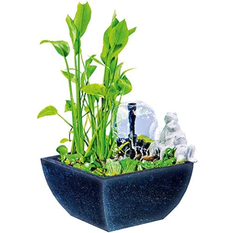 Heissner Wassergarten groß, rechteckig, schwarz, mit Froschfigur Weiss (Froschpaar)