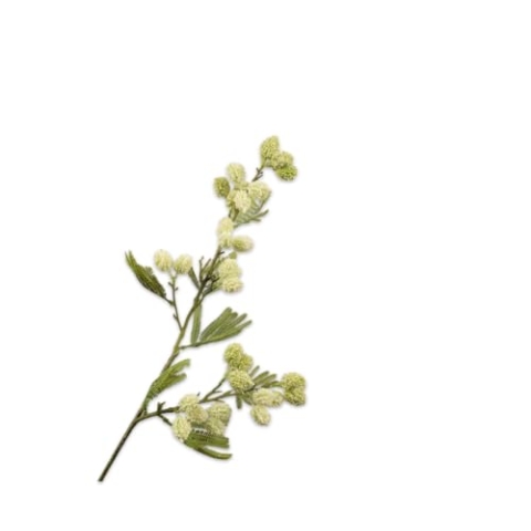 Silk-ka Künstliche Blume – Seidenblume, Mimosenzweig, cremefarben, 83 cm