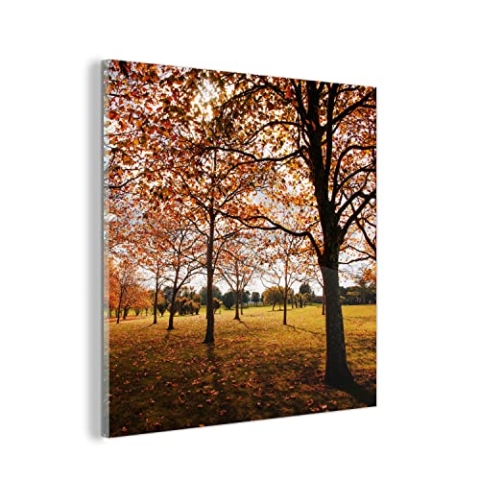 MuchoWow Glasbild Glasfoto Wandbild Bilder Deko 20x20 cm Herbst - Herbstblätter - Natur