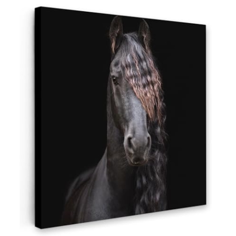 MuchoWow Leinwand Bilder, Einzigartige Wanddeko mit Rahmen, Pferde - Friesisch - Mähne - Schwarz - Tiere, Wandbilder Wohnzimmer, Deko Schlafzimmer 90x90 cm