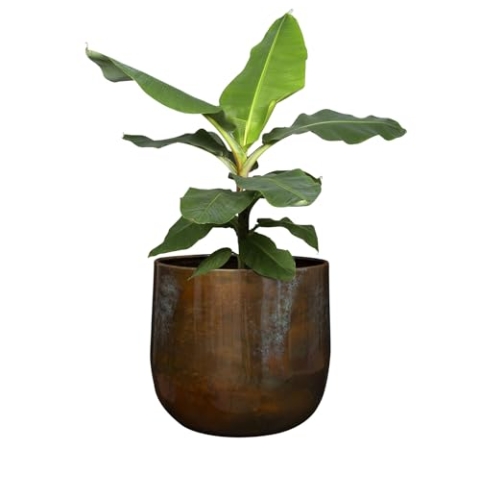 Ter Steege Blumentopf – dekorativer Metalltopf Mystic Blue D 22 H 20 cm. Die Öffnung beträgt 17 cm