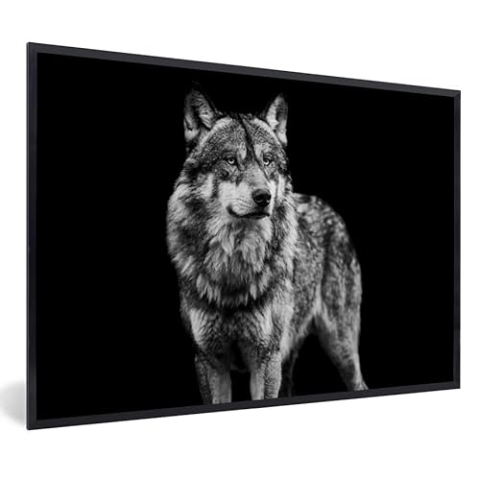 MuchoWow Poster Bilder Wanddeko Deko Wohnzimmer 120x80 cm Wolf - Tiere - Wild - Schwarz - Weiß