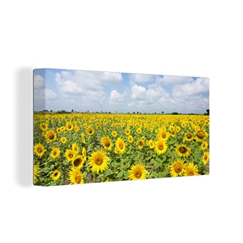 MuchoWow Leinwand Bilder, Einzigartige Wanddeko mit Rahmen, Sonnenblumen - Blumen - Wolken - Natur - Gelb - Landschaft, Wandbilder Wohnzimmer, Deko Schlafzimmer 80x40 cm