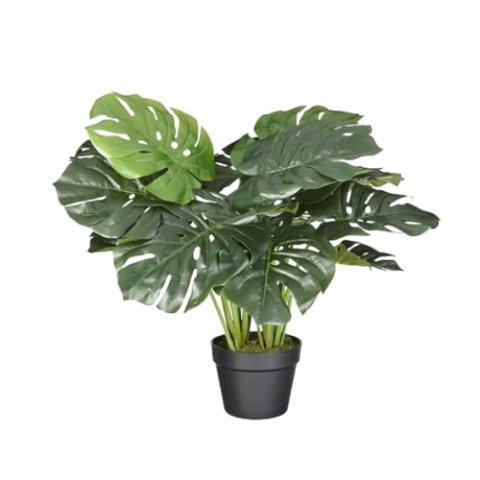 HTT Decorations - Künstliche Monstera - Hochwertige Kunstpflanzen - 60 cm hoch, Untertopf mit 16 cm Durchmesser