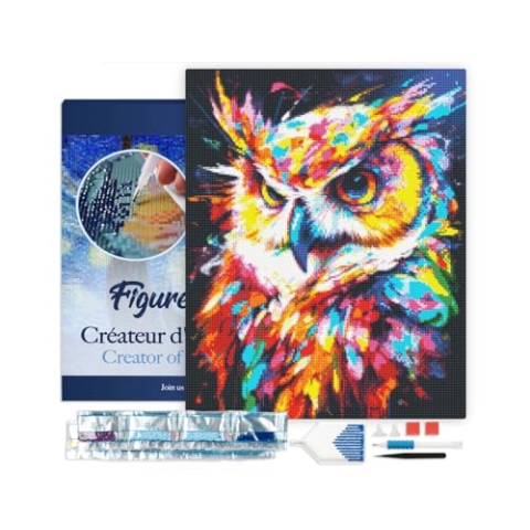 Figured'Art Diamond Painting Erwachsene 40x50cm Mit Rahmen Ganze Leinwand gespannt Eule Farbenfroh Abstrakt 5D Bilder Eckige Steine - DIY Set Basteln