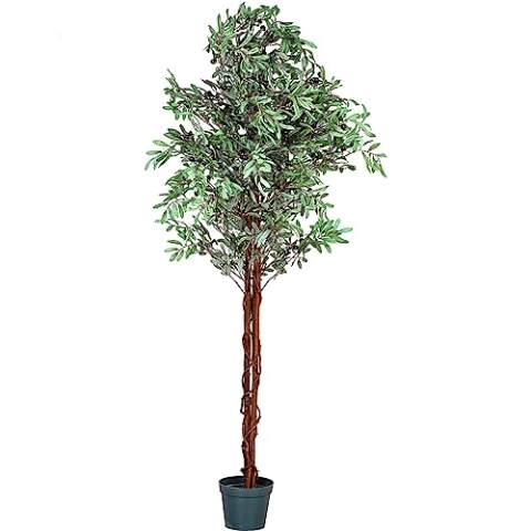 PLANTASIA Kunstpflanze Olivenbaum 180 cm