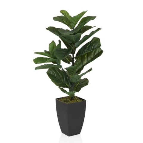 hjh OFFICE Kunstpflanze 80cm LYRATA Künstliche Deko Pflanze mit Topf, exotischer Feigenbaum für Wohnzimmer Schlafzimmer Büro