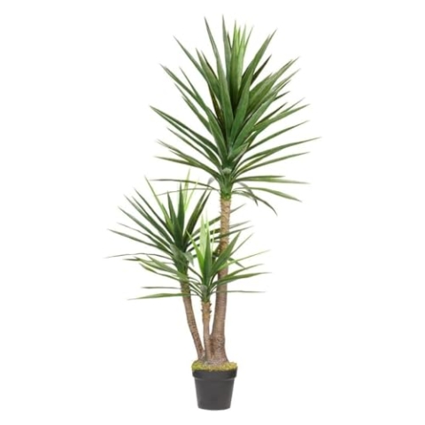 HTT Decorations - Künstliche Yucca Palme - Hochwertige Kunstpflanzen - 160 cm hoch