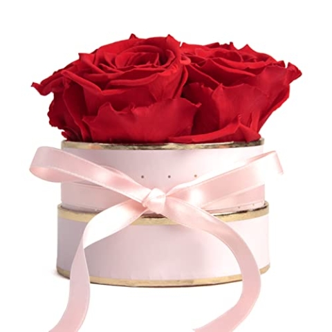 ROSEMARIE SCHULZ Heidelberg Rosenbox rosa rund Infinity Rosen Rot - Blumenbox 4 ewige Rosen haltbar 3 Jahre Durchmesser ca. 10cm - Geschenke für Frauen Beste Freundin Geschenk (Small, Rosa-Rot)