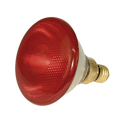 Kerbl 22247 Infrarot Sparlampe 175W - rot - 10 Stück