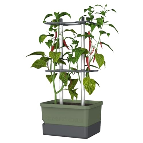 GUSTA GARDEN Charly Chili Chilitopf - Pflanzentopf mit Rankhilfe, Bewässerungssystem & Robustem Rahmen (Dunkelgrün, Regular)