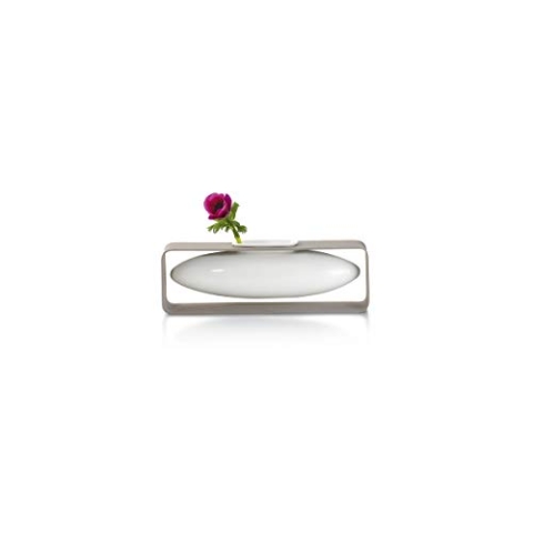 Philippi - Float Vase, rund - schebende Vase im Metallgestell - für Tupen, Rosen, effektvolle dekorative Vase