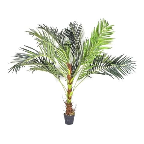 NATURN Living Kunststoff Sago Palme - ø 60 x 142,5 cm - Pflegefreie Cycas Revoluta - Kunstpflanze - Lebensechte Kunstpalme - Exotische Dekorationspalme - Dekorativer Kunstbaum - Grün