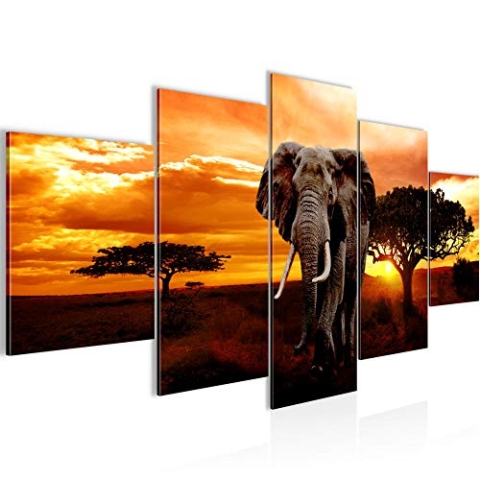 Runa Art - Bilder Afrika Elefant 200 x 100 cm 5 Teilig XXL Wanddekoration Design Orange 001251a