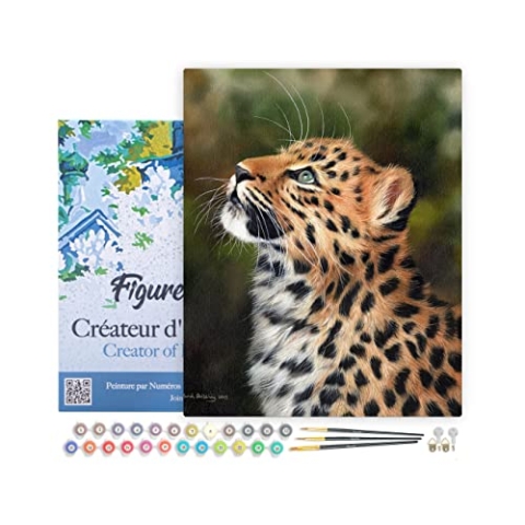 Figured'Art Malen Nach Zahlen Erwachsene Mit Rahmen Neugieriger Leopard - Paint by Numbers Basteln DIY Bastelset 40x50cm Leinwand gespannt auf Holzrahmen