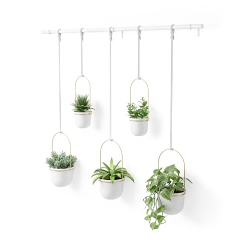 Umbra Triflora Vase, Hängeblumentopf, Wandvase, Blumenampel für Wand- und Deckenanbringung, 5 Töpfe, Weiss/Messing