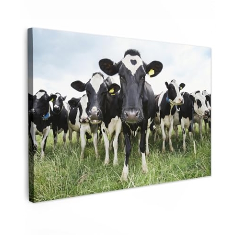 MuchoWow Leinwand Bilder, Einzigartige Wanddeko mit Rahmen, Kühe - Gras - Frühling - Tiere - Wiese - Bauernhof, Wandbilder Wohnzimmer, Deko Schlafzimmer 150x100 cm
