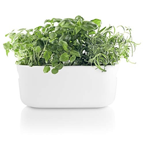 EVA SOLO | Selbstbewässernder Herb-Organiser white | Verhilft Kräutern zu einem langen Leben | Weiß
