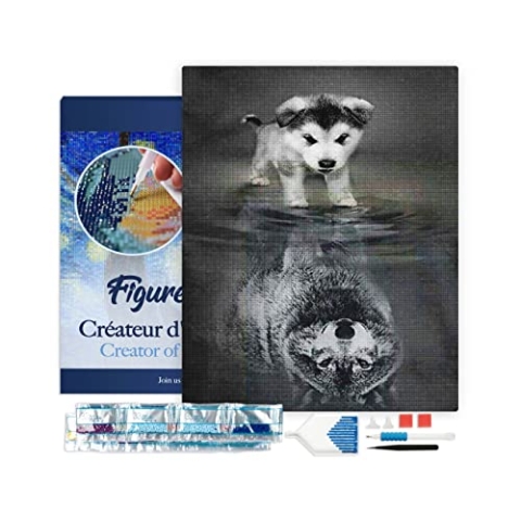 Figured'Art Diamond Painting Erwachsene 40x50cm Mit Rahmen Ganze Leinwand gespannt Hund und Wolf Spiegelung 5D Bilder Eckige Steine - DIY Set Basteln