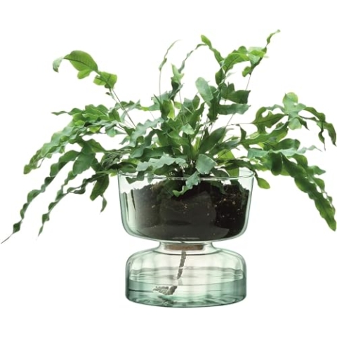 LSA Canopy Recycled Vase/Bulb Planter, Glas, Clear, H13cm