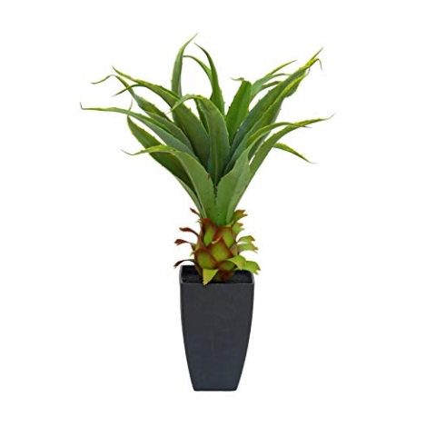EUROPALMS Agave im Topf, Kunstpflanze, 75cm | Agave mit Topf