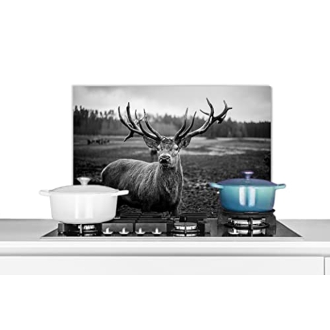 Spritzschutz Küche Küchenrückwand Alu Poster Bilder 70x50 cm Tiere - Hirsch - Geweih - Schwarz und weiß - Natur