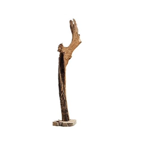 invicta INTERIOR Große Stand Natur Skulptur Reef Treibholz Teak 100-125 cm Massivholz Statuette Statue Holzdekoration Dekoration