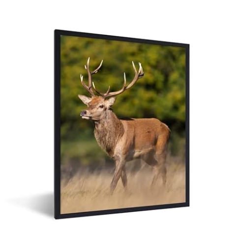 MuchoWow Poster Bilder Wanddeko Deko Wohnzimmer 60x80 cm Tiere - Hirsche - Geweihe - Waldtiere - Natur
