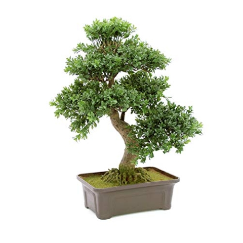 EUROPALMS Buchsbonsai, Kunstpflanze, 61 cm | Bonsai-Buchsbäumchen als Tischdeko