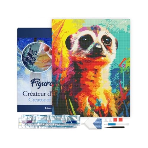 Figured'Art Diamond Painting Erwachsene 40x50cm Mit Rahmen Ganze Leinwand gespannt Erdmännchen Farbenfroh Abstrakt 5D Bilder Eckige Steine - DIY Set Basteln