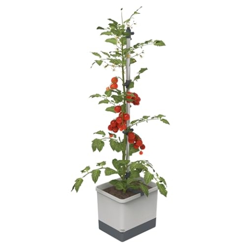GUSTA GARDEN Tom Tomato Tomatentopf Hellgrau - Pflanzentopf mit Rankhilfe, Bewässerungssystem & Befestigungshaken - Set inkl. 20L Erde - 4,5L Wassertank & 20L Erdvolumen (hellgrau, ohne Erde)