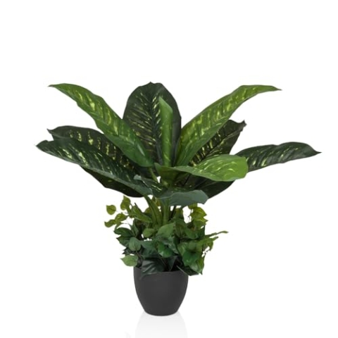 hjh OFFICE Kunstpflanze 80cm DIEFFENBACHIA Tropische Zimmerpflanze künstlich, dekorative Pflanze im schwarzen Topf