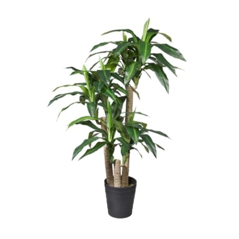 HTT Decorations - künstliche Pflanzen - Dracaena/Drachenbaum - in - 135 - Grünpflanze - im Topf - Deko - Zimmerpflanze