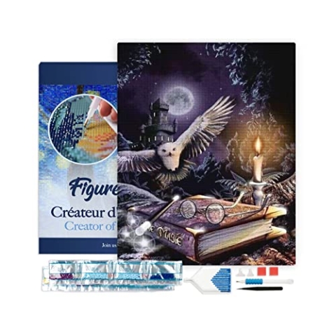 Figured'Art Diamond Painting Erwachsene 40x50cm Mit Rahmen Ganze Leinwand gespannt Magische Eule 5D Bilder Eckige Steine - DIY Set Basteln