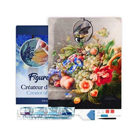 Figured'Art Diamond Painting Erwachsene 40x50cm Mit Rahmen Ganze Leinwand gespannt Blumen und Obst Herman Henstenburgh 5D Bilder Eckige Steine - DIY Set Basteln