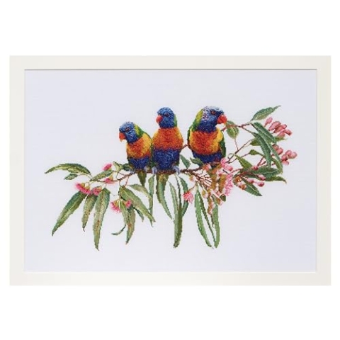Thea Gouverneur - Kreuzstich-Set - Lorikeets - Aida - 16 Count - Für Erwachsene - 553A
