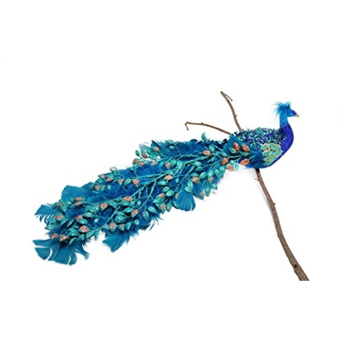 Goodwill: Naturfeder, blau-grüner Pfau, 50 cm