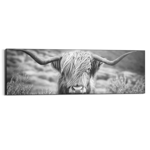 REINDERS Wandbild, Highlander Bulle, Wohnzimmer, Bilder, Wanddeko, Room Decor, MDF, Schwarz-Weiß, 52x156cm