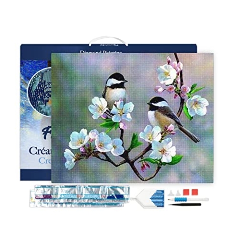 Figured'Art Diamond Painting Erwachsene 40x50cm Mit Rahmen Ganze Leinwand gespannt Kleine Vögel und weiße Blumen 5D Bilder Eckige Steine - DIY Set Basteln